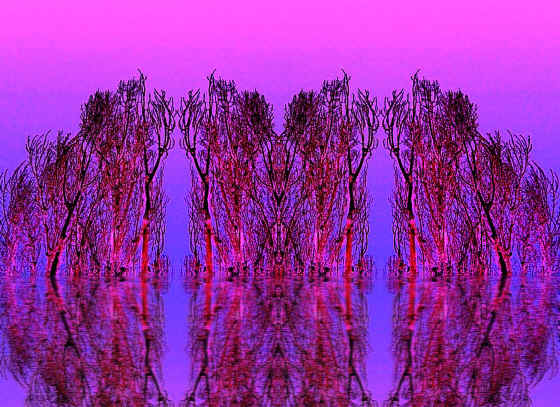 Hans-Georg T�rstig  Artwork
